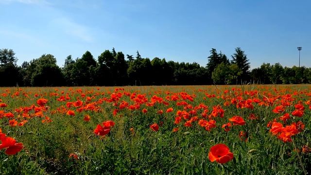 10 готических романов для чтения осенью смотреть онлайн