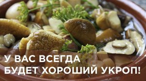 У ВАС ВСЕГДА БУДЕТ ХОРОШИЙ УКРОП