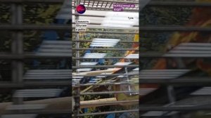 Стоимость попугаев и рыбок в Туле.