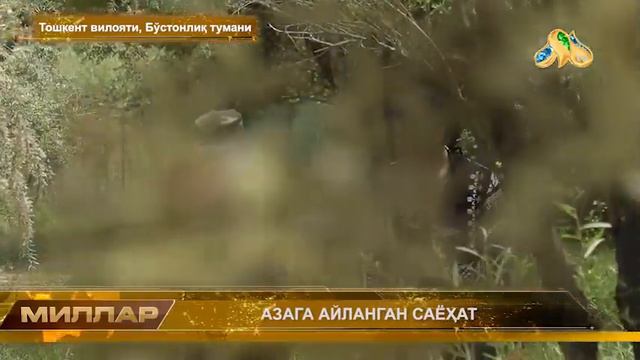 ❗️АЗАГА АЙЛАНГАН САЁҲАТ❗️ #millar #tezkor #daxshat