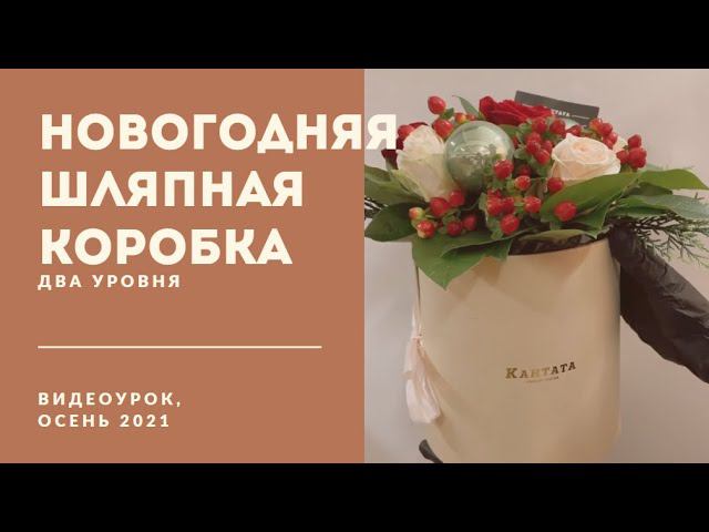 шляпная коробка НГ 21 22 смотреть онлайн