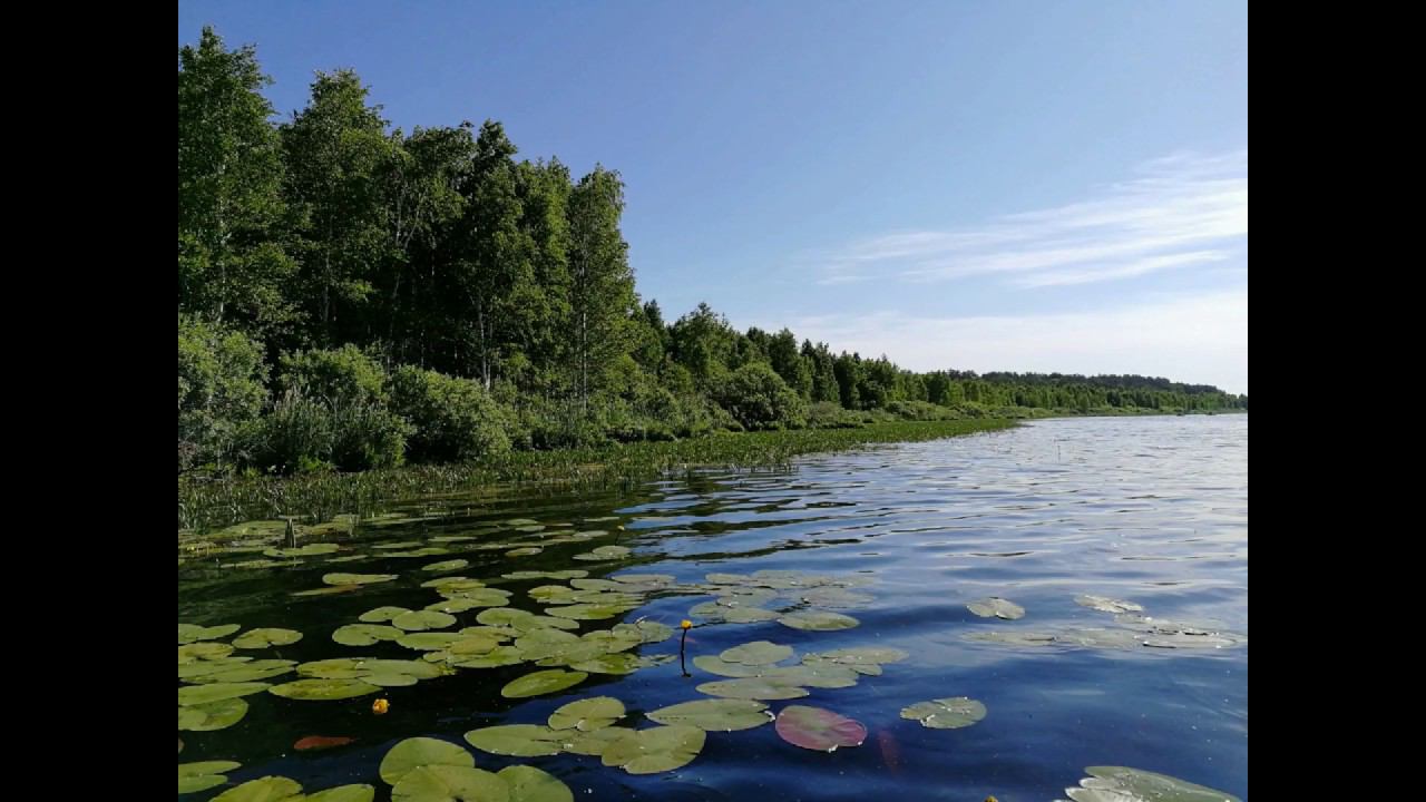 Хорошие кадры, красивые фотографии природы. #NIK_72 смотреть онлайн