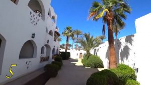 10 лучших отелей Шарм-Эль-Шейха по мнению отдыхающих