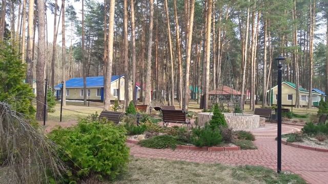 Весна в Сосновом бору смотреть онлайн