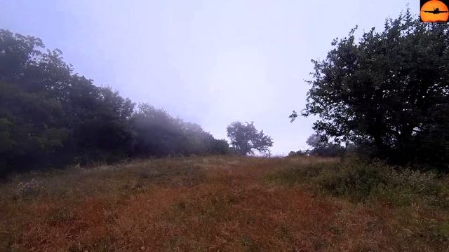 Тяжёлый подъём на гору Куш-Кая в Крыму и огромное разочарование, ожидавшее нас наверху... смотреть онлайн