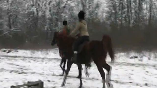 клуб "Орлята" смотреть онлайн