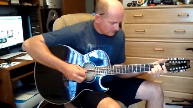 Washburn EA9-12BL смотреть онлайн