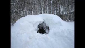 Спит зимой медведь в берлоге!