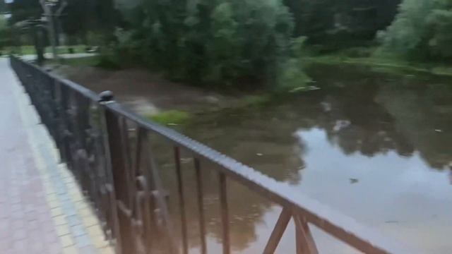 #СУРГУТ ОДЕЛИ ПУХОВИКИ ЛЕТОМ/ НОВЫЕ СВЕТЮШКИ У ЗАГСА/ БЕЛЫЕ НОЧИ/ #север #загс #life #vlog смотреть онлайн