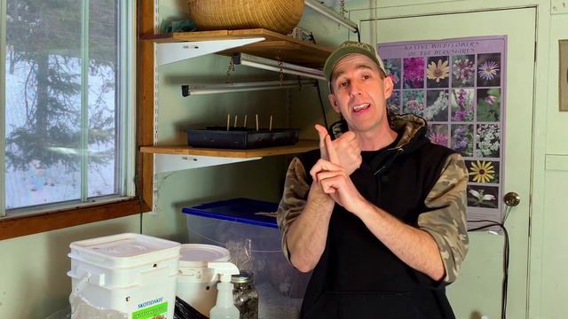 Dangers of Indoor Mushroom Growing & How to Avoid Them смотреть онлайн