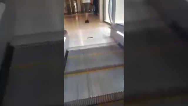 Метро Домодедово Ашан сити смотреть онлайн