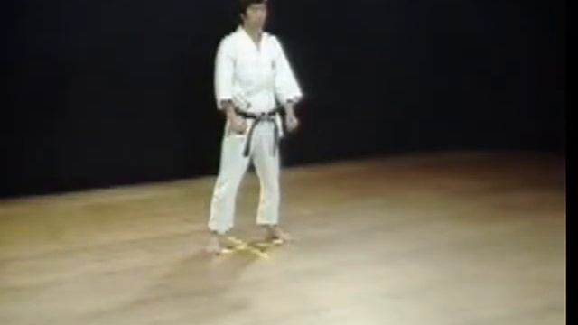 Bassai Dai.Hirokazu Kanazawa.Kata Shotokan SKIF смотреть онлайн