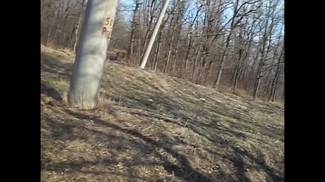 Покатушки на велосипедах №11 "Новые дороги" смотреть онлайн