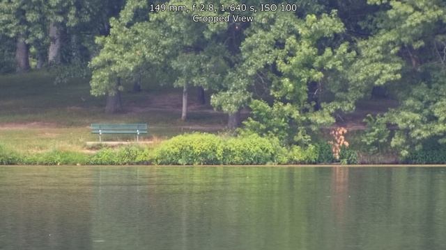 Cheap Hobbyist Canon EF 70-210mm F/4 Lens! Photowalk & Analysis