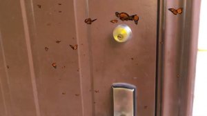 Дом в Сочи  на Мамайке