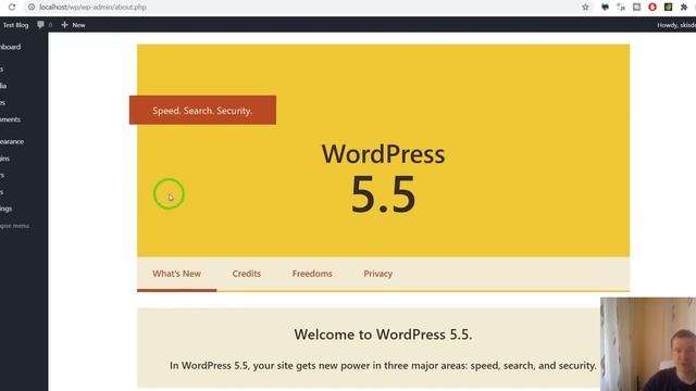 Checking if all my plugins are compatible with the upcoming WordPress 5.5 version update смотреть онлайн