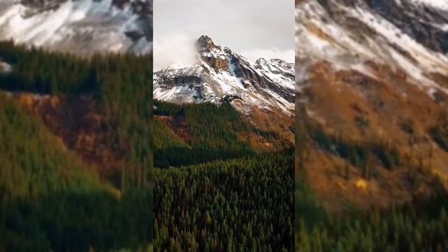 2023: NEW SUBLIMINAL ПРОЩЕНИЕ СЕБЯ и отпускание груза прошлого?НОВАЯ ФОРМУЛА #саблиминал 15 МИНУТ