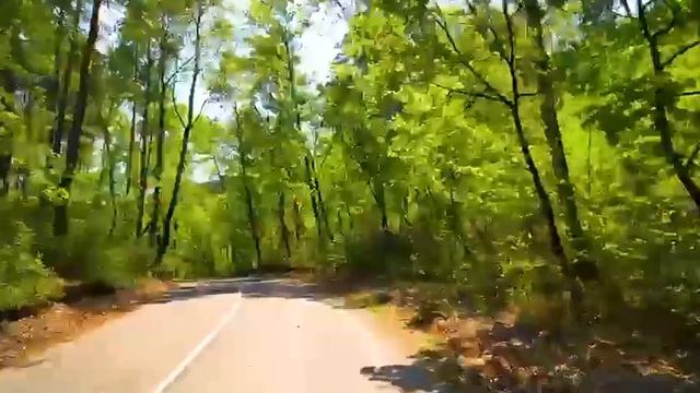 Путешествие по красотам Амурской области: Откройте для себя 4 сезона ❤️