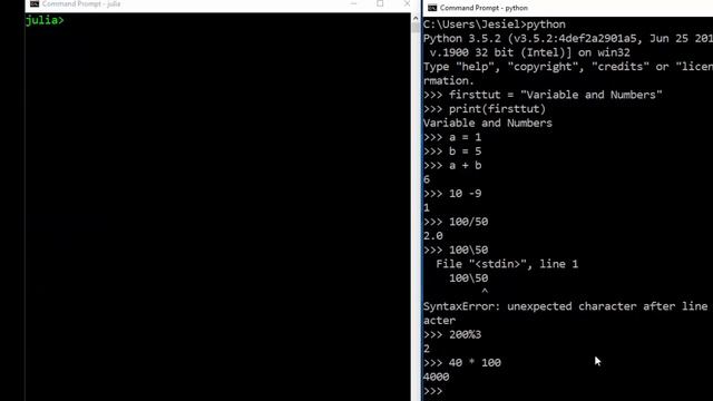 Julia Vs Python Tutorials - Variables and Numbers смотреть онлайн