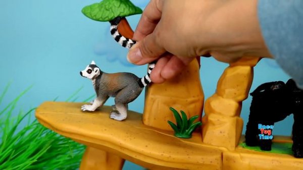 Zoo Wild Animals Toys For Kids  - Learn Animal Names