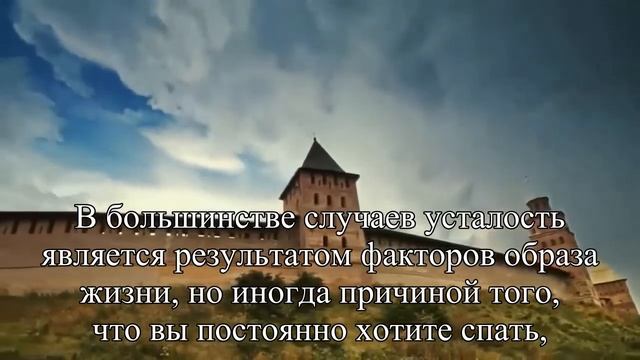 Почему все время хочется спать Причины и лучшие способы решить проблему — Статья смотреть онлайн
