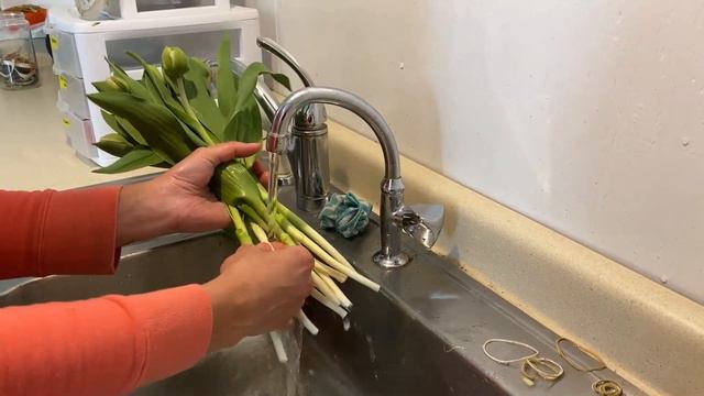 Grow With Us: Growing and Harvesting Tulips on the Farm смотреть онлайн