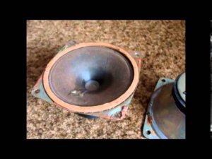 Динамик 3гд31