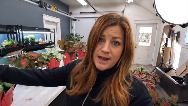 Hartley Christmas Tree, New Caladiums & Installing Bird Feeders! 🎄🌿🐦 // Garden Answer смотреть онлайн