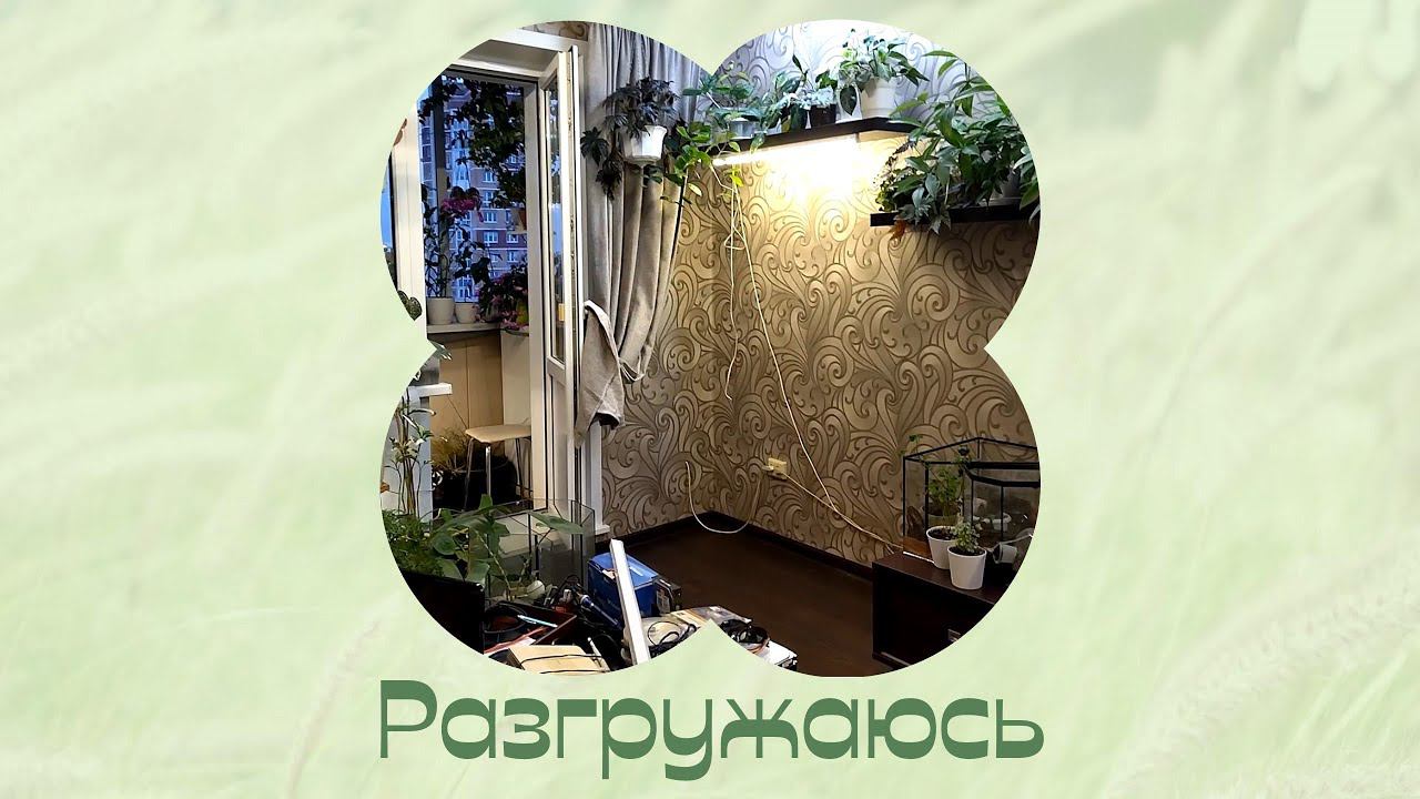 Вынос шкафа. Цветочная переделка. смотреть онлайн