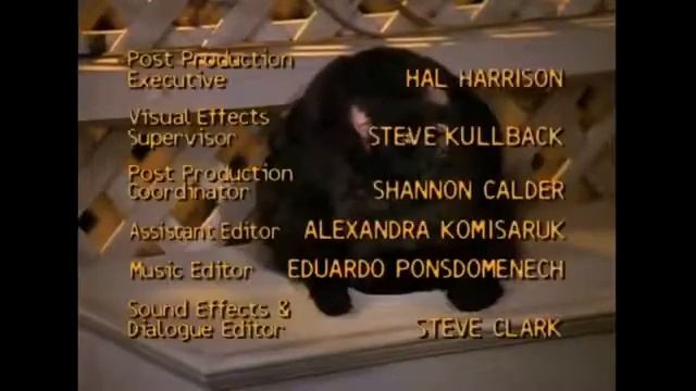 Кот Сэйлем- Сабрина маленькая ведьма смотреть онлайн