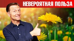 Одуванчик – лучший сорняк от жира в печени и других проблем 🔥