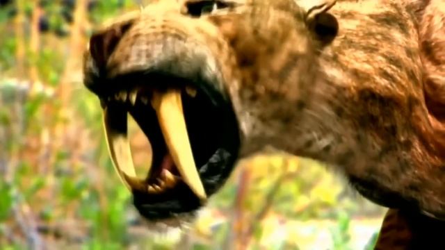 СМИЛОДОН - НЕ СОВСЕМ ТИГР | УДИВИТЕЛЬНЫЕ ЖИВОТНЫЕ КАЙНОЗОЯ смотреть онлайн