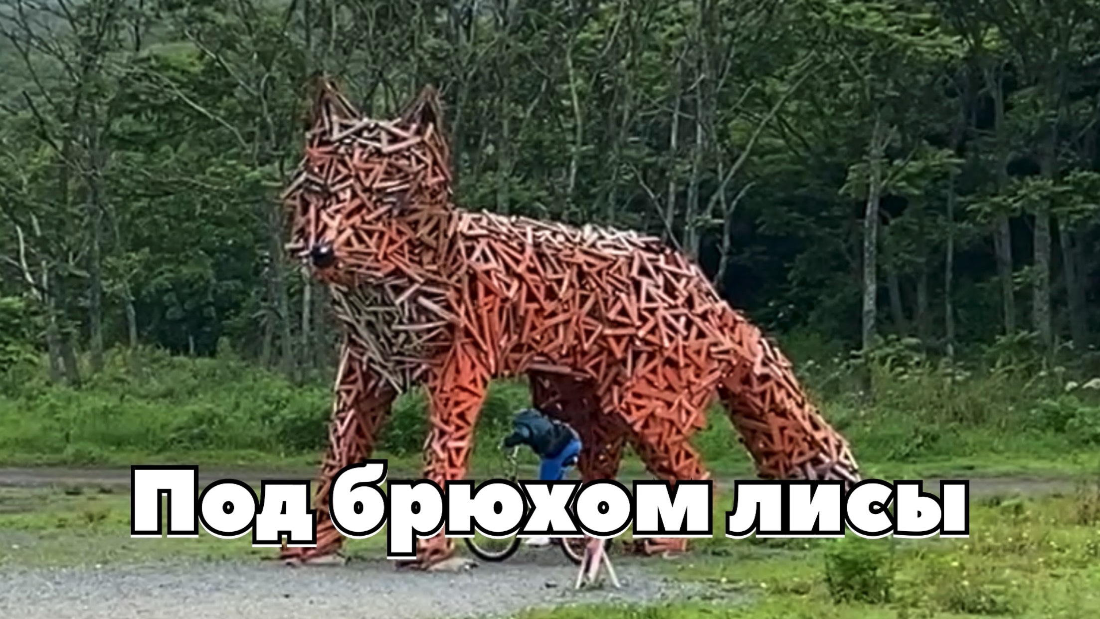 Смертельный номер! Не погибнуть под брюхом лисы! 30 июня 2024 г. смотреть онлайн