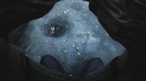 зимняя ловля Леща.Подводная Съемка. Ice Fishing