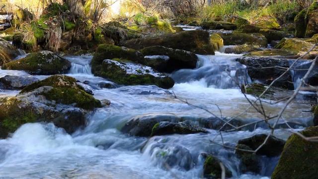 Приморский край - Вблизи водопада Неожиданный [Звуки природы, для сна, расслабления] смотреть онлайн