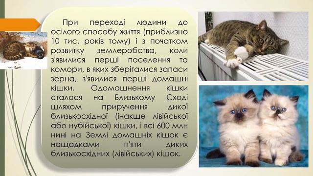 9 клас 65 66 Поняття про селекцію смотреть онлайн