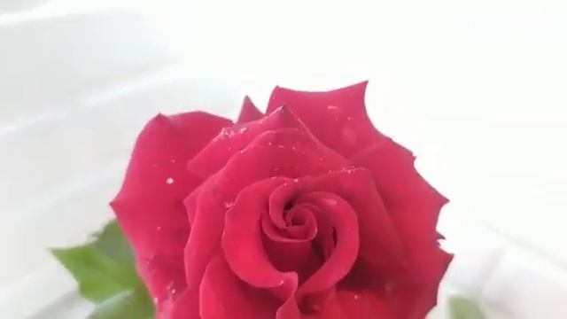 Варенье из роз смотреть онлайн