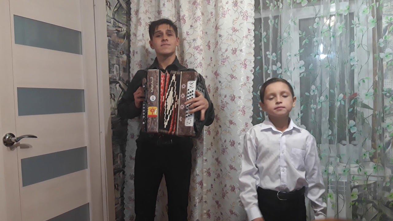 Дима Билан - про белые розы кавер под гармонь смотреть онлайн