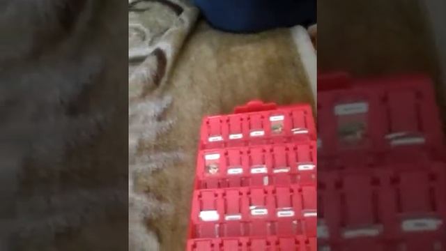 Играем в игру угадай кто смотреть онлайн