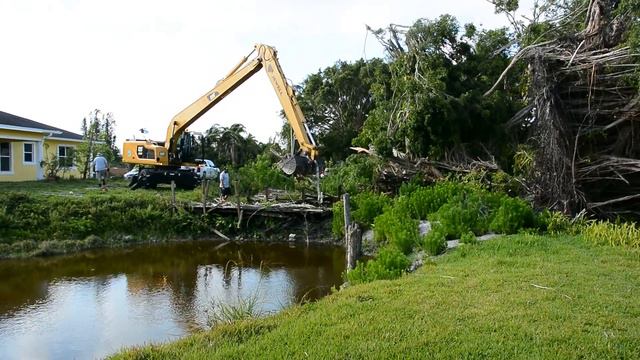 Removal of the ficus tree after hurricane Irma смотреть онлайн