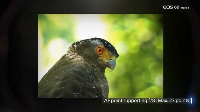 Canon EOS 6D Mark II смотреть онлайн