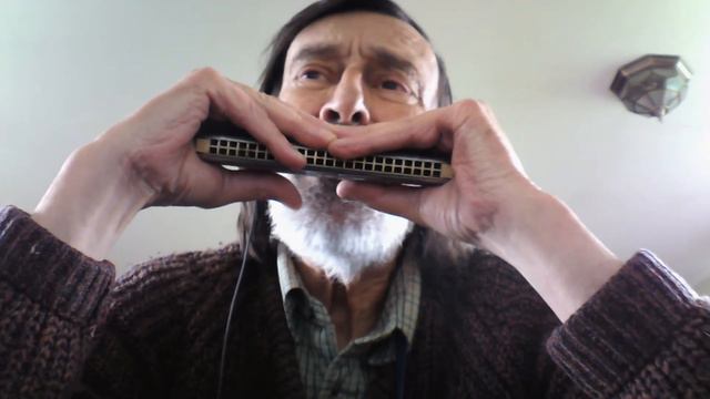 Down by the Sally Gardens Tremolo Harmonica смотреть онлайн