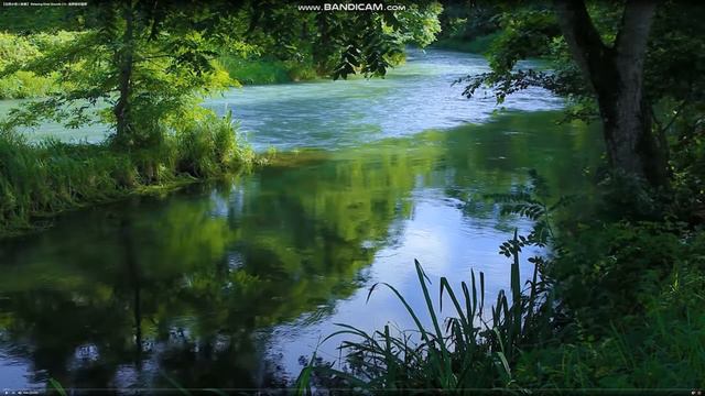 ТЕМА ПОТЕРИ ИНВЕСТИЦИЙ !!! смотреть онлайн