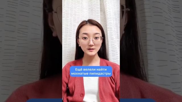 Что за пипидастры? смотреть онлайн