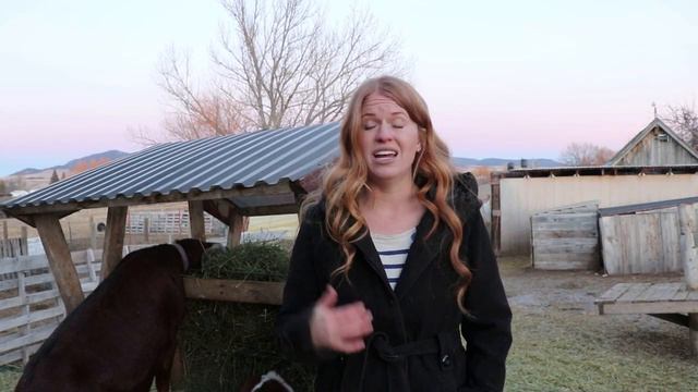 Toxic Plants to Goats смотреть онлайн