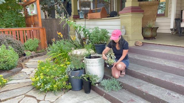 Grouping And Planting A Beautiful Container Garden смотреть онлайн