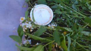 Как ПРАВИЛЬНО ОБУСТРОИТЬ дом для ящерицы!