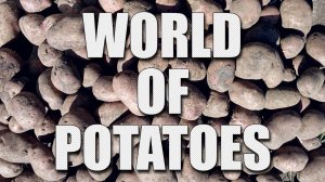 World of Potatoes. "Картоха" или с чего начинался WoT