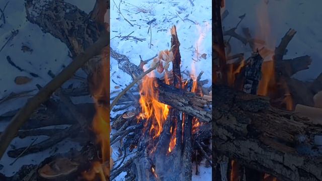 жарим зайца? смотреть онлайн