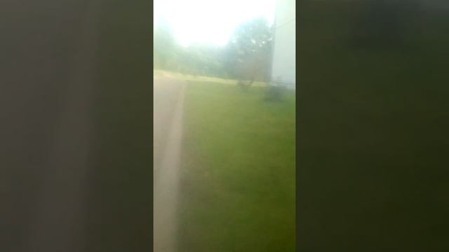 Жопы смотреть онлайн